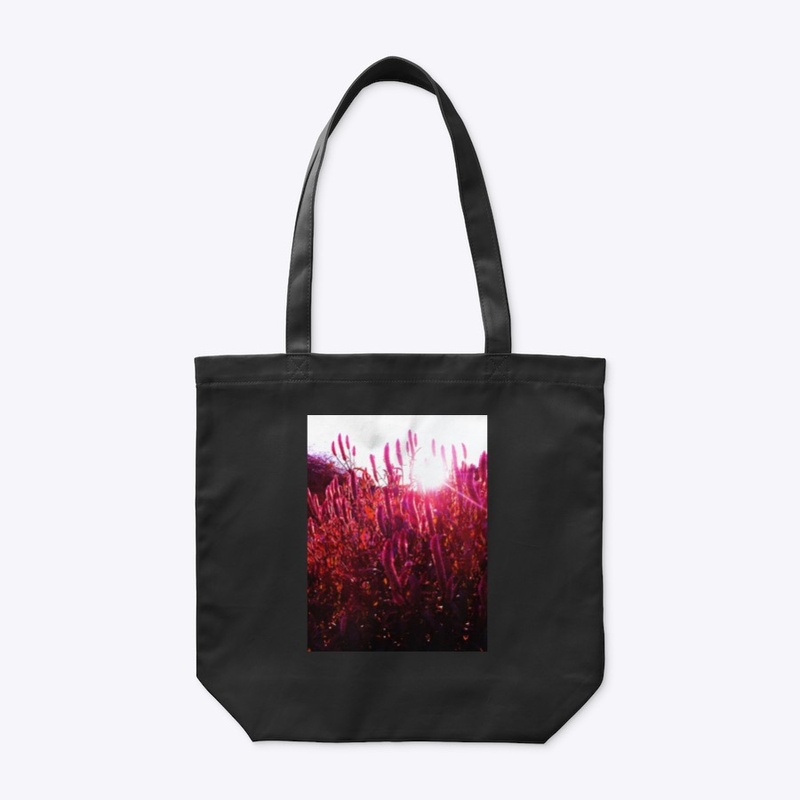 Pink Fountain Grass at Sunset