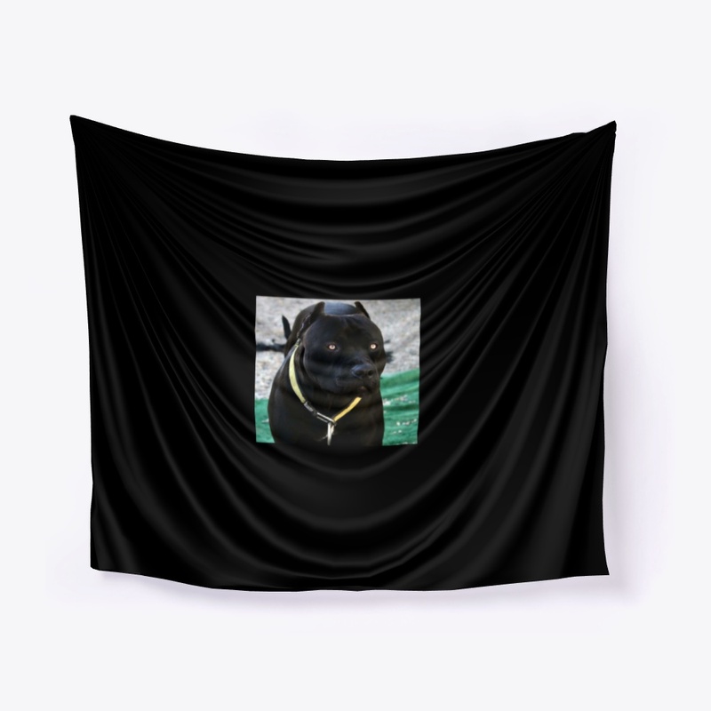 Pitbulls Black