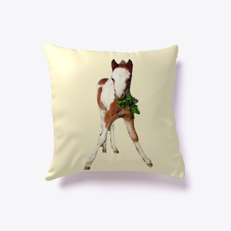 Raisin the Skewbald Pony