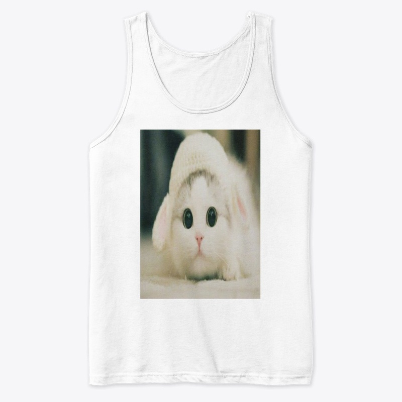 cute cat