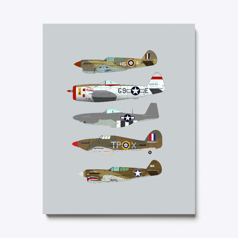 Warbirds of WW2