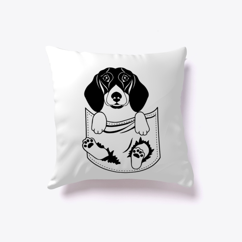 Cute Pocket Doxie Puppy
