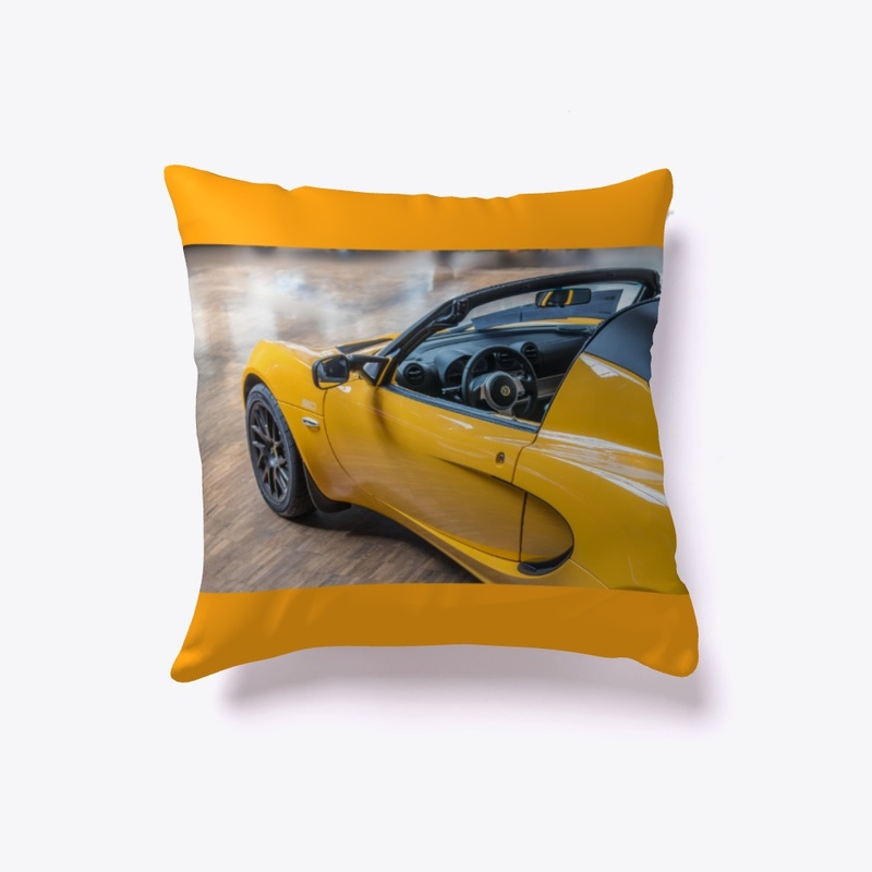 indoor pillow