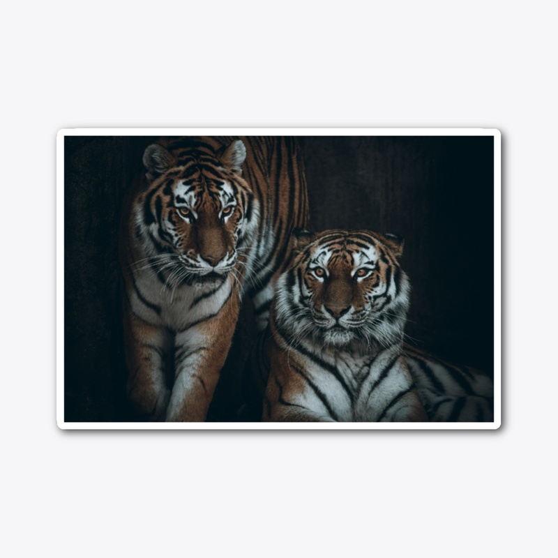 Big Cats
