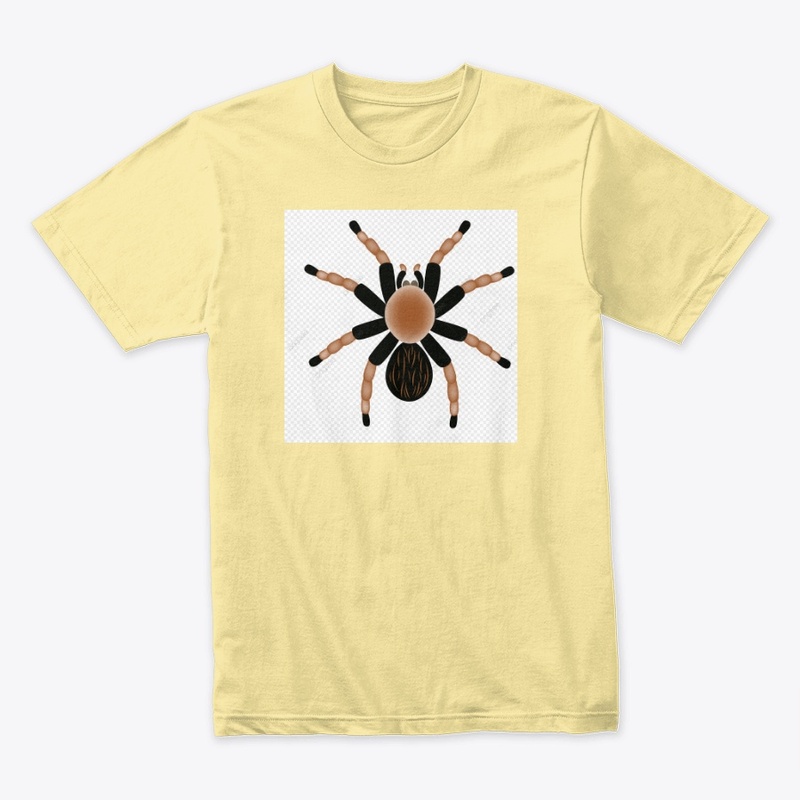 ATRACCION ARACNIDA