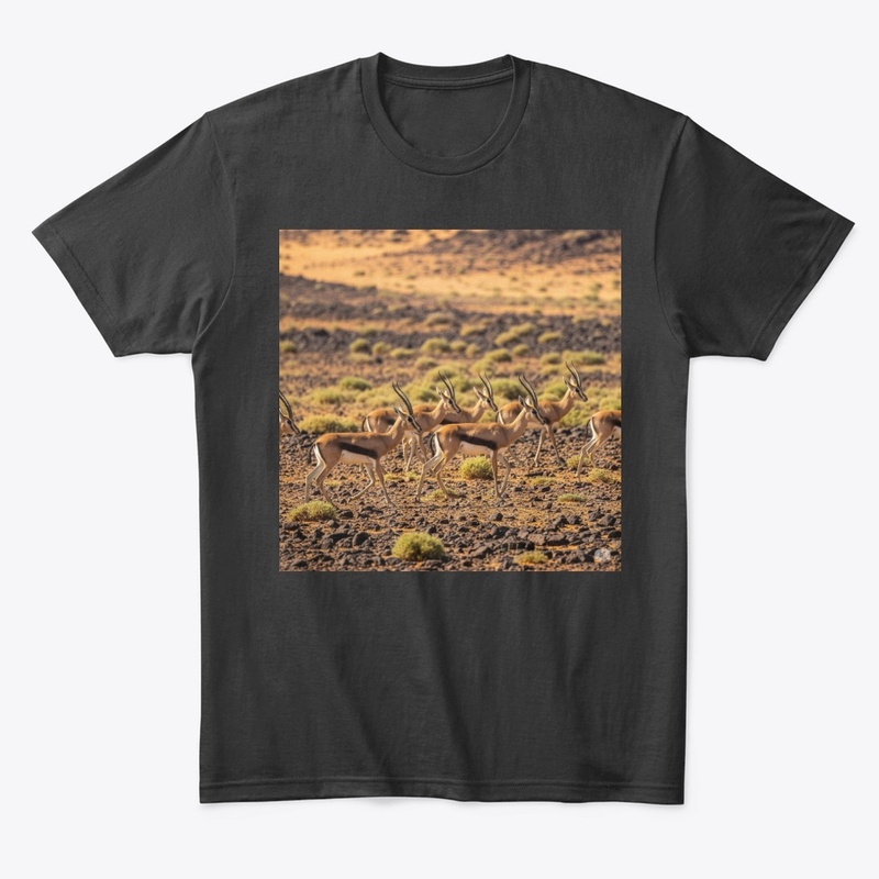 Eritreas Gazelles