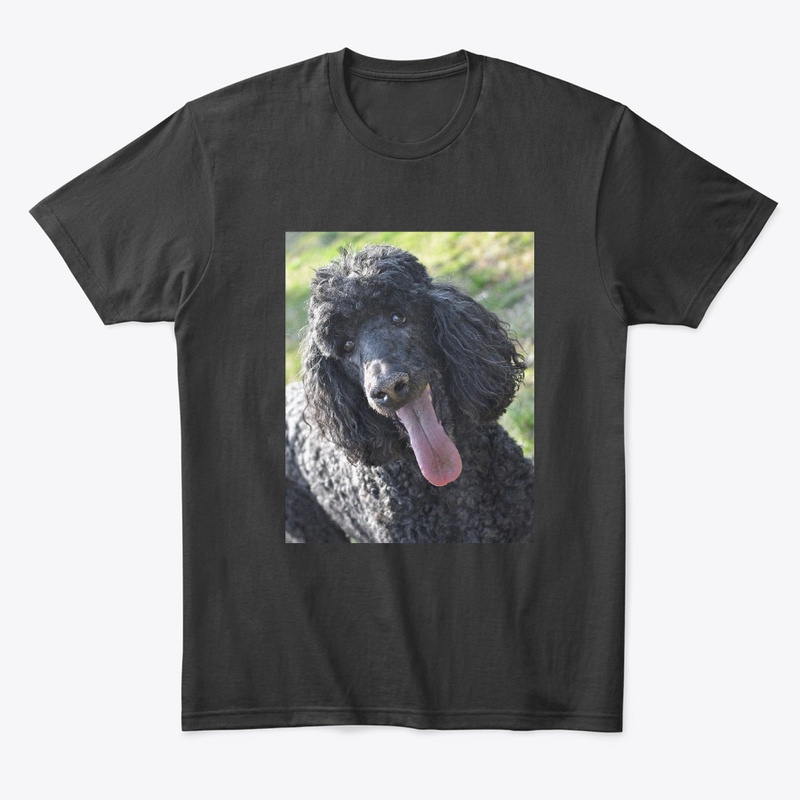 Poodle Merchandise