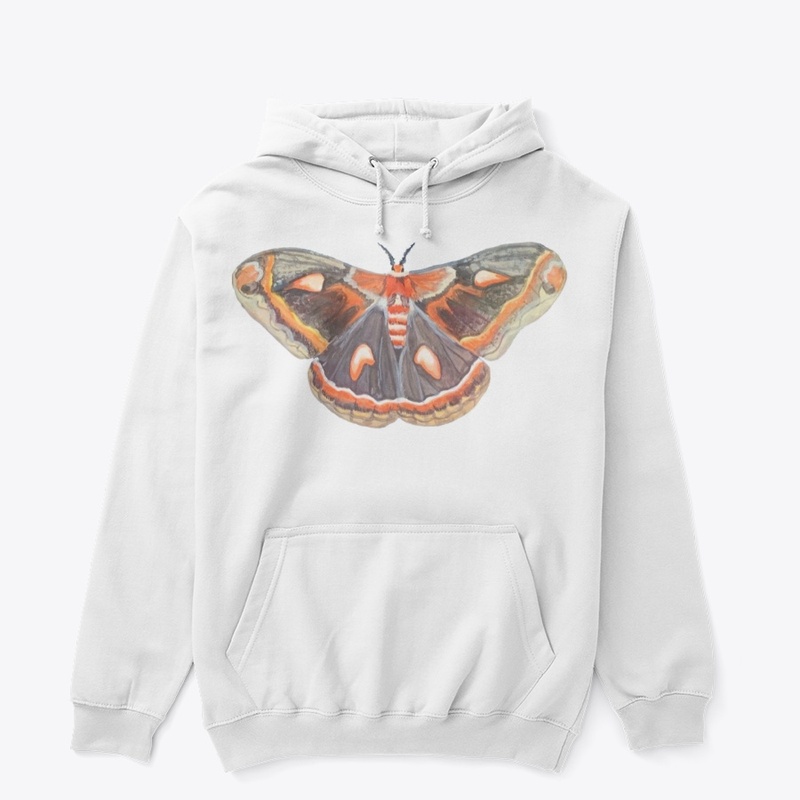 Cecropia Moth Large