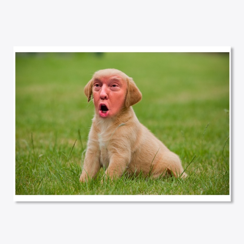 Lady and the trump