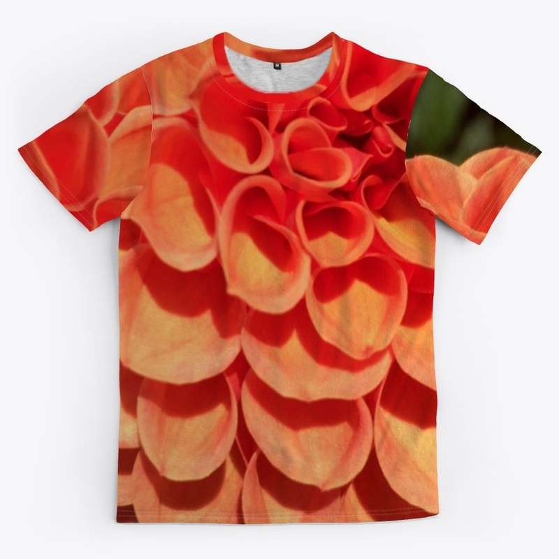 Orange dahlia flower 