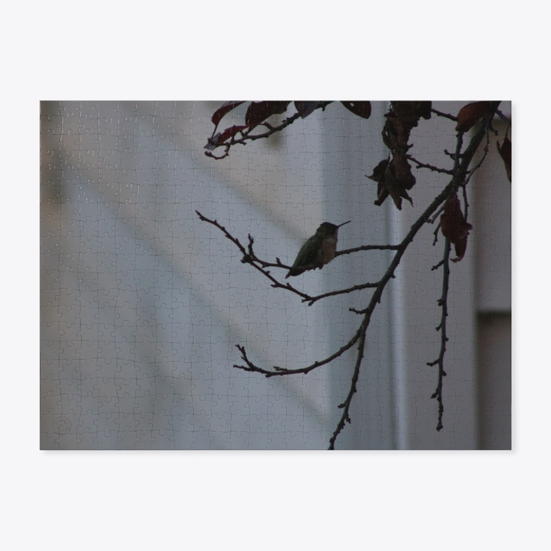 Hummingbird 1