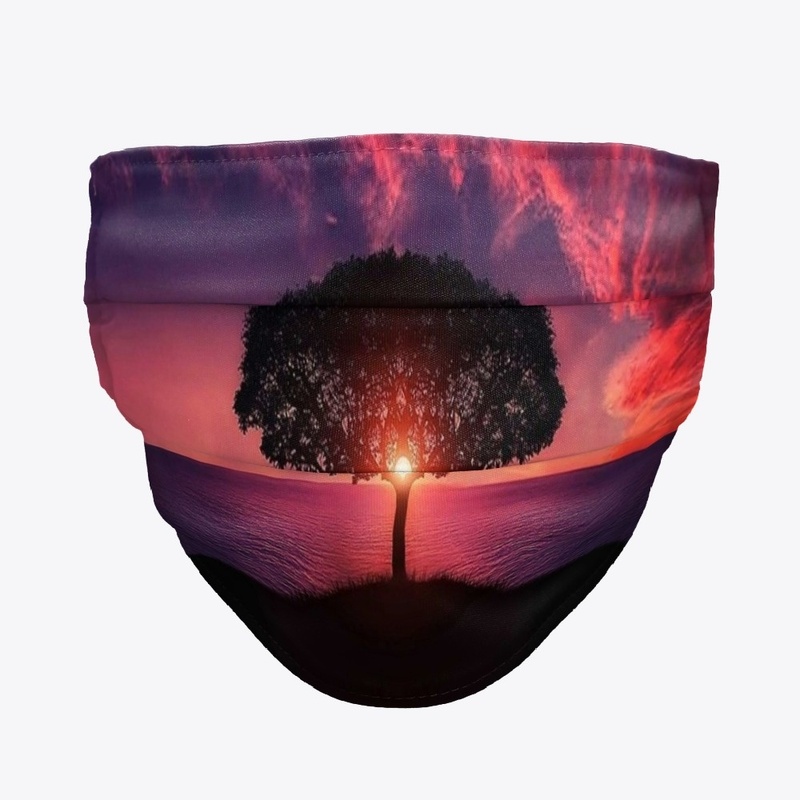 Sunset in the Desert