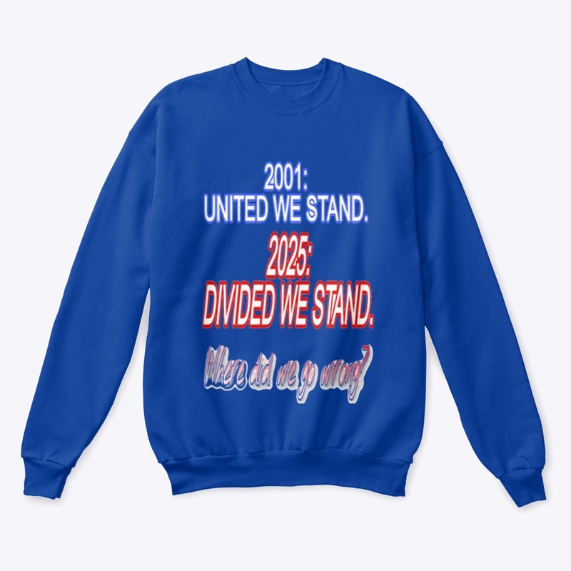 DIVIDED WE STAND shirt