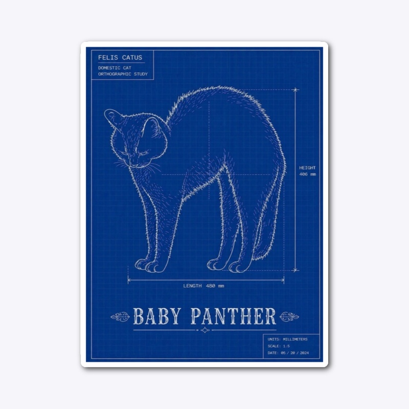 Baby panther