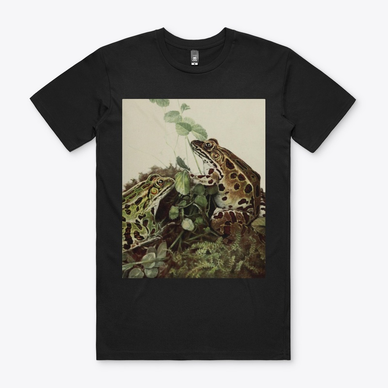 Frog Book 1