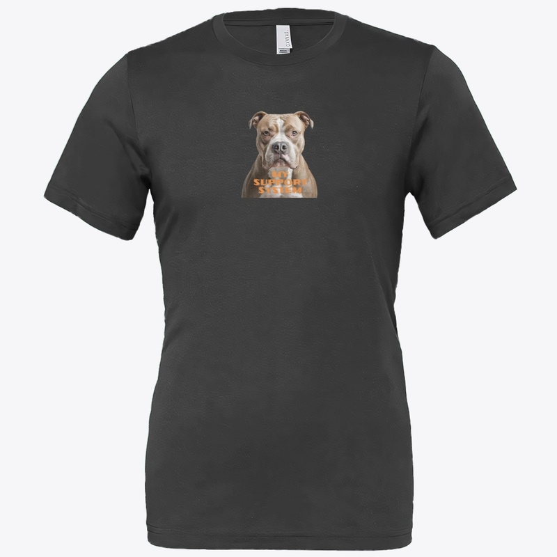My Support System 2025 - Bella Canvas 3001 | Classic Unisex Jersey T-Shirt - Bella Canvas 3001 | Classic Unisex Jersey T-Shirt - Bella Canvas 3001 | Classic Unisex Jersey T-Shirt - Bella Canvas 3001 | Classic Unisex Jersey T-Shirt