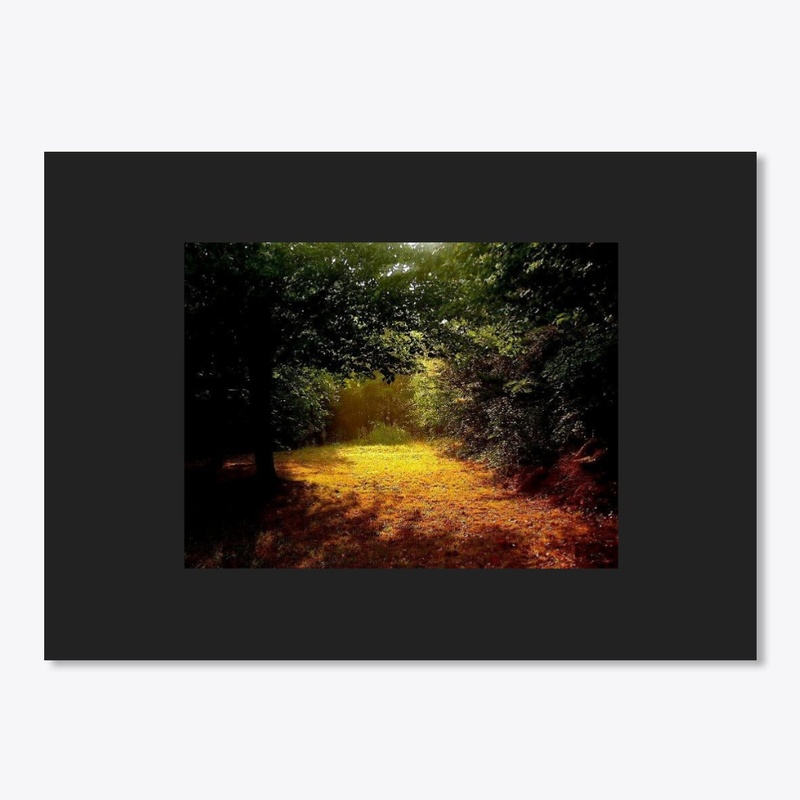 sun ray path 