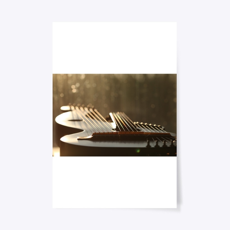 18 String Harp Guitar