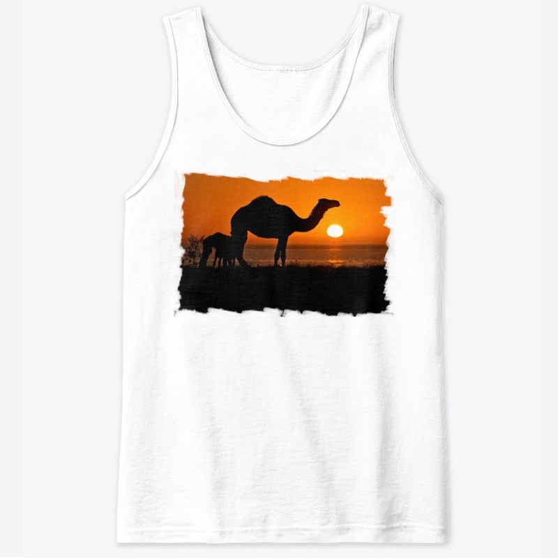 THE  desert
