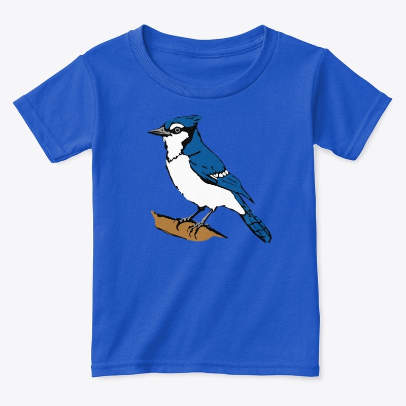 Blue Jay bird on a branch