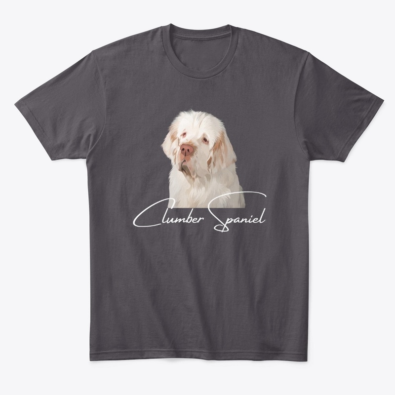 Breathtaking Clumber Spaniels!