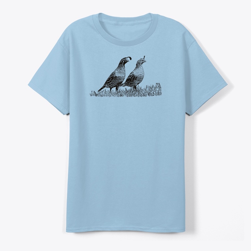 California Quail Birdwatching