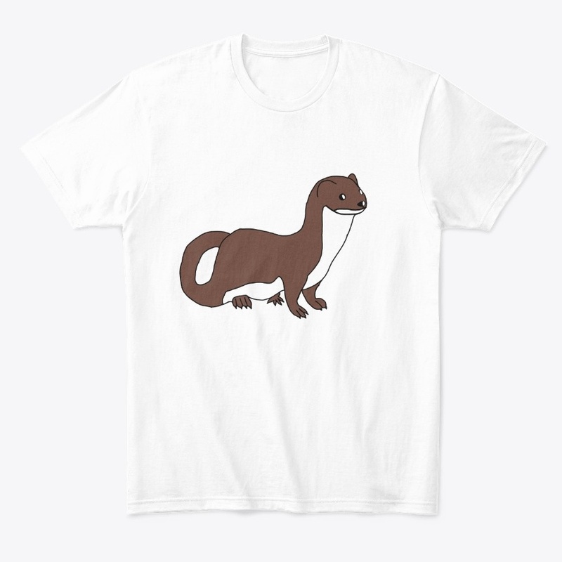 Ferret