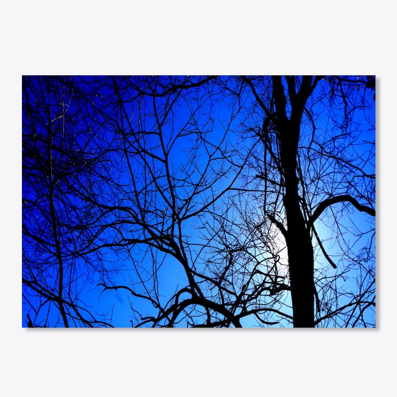 black tree blue sky 