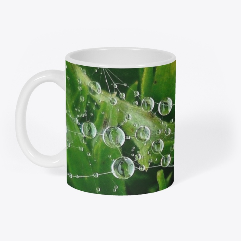 Rain Water Drops Ideas |  Spider Web