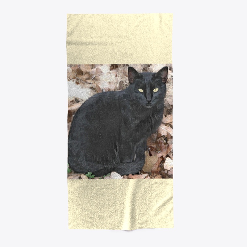 Big Black CAT  / Winter Leaves