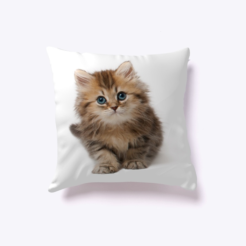 Kitten Tee Shirt