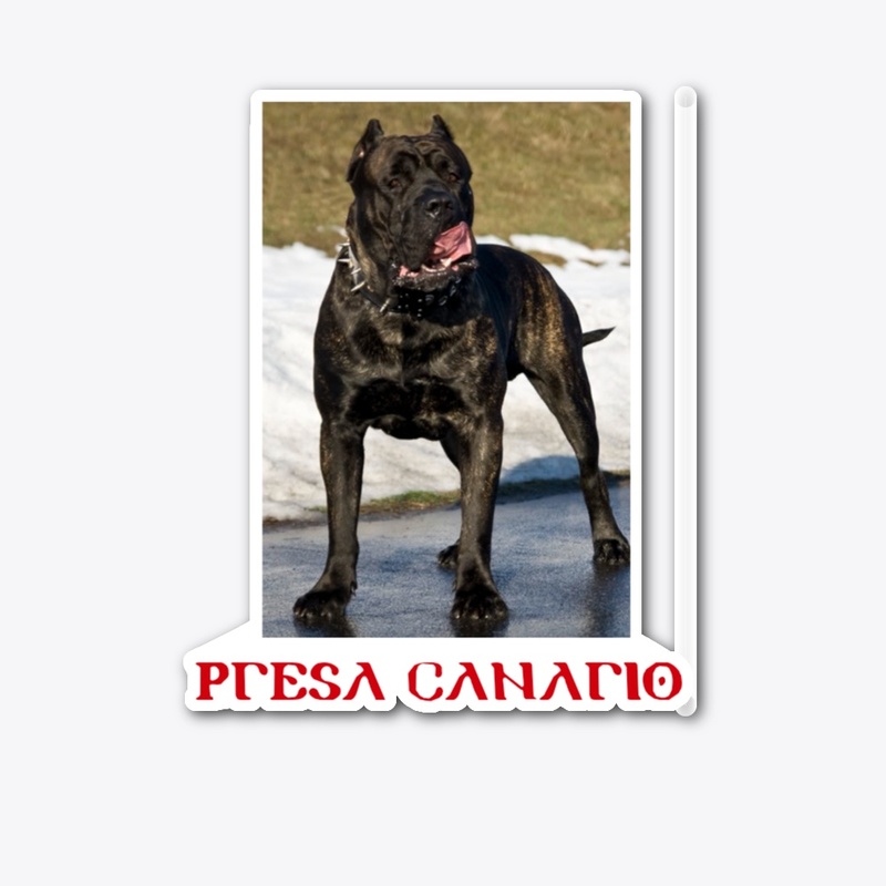 Presa canario