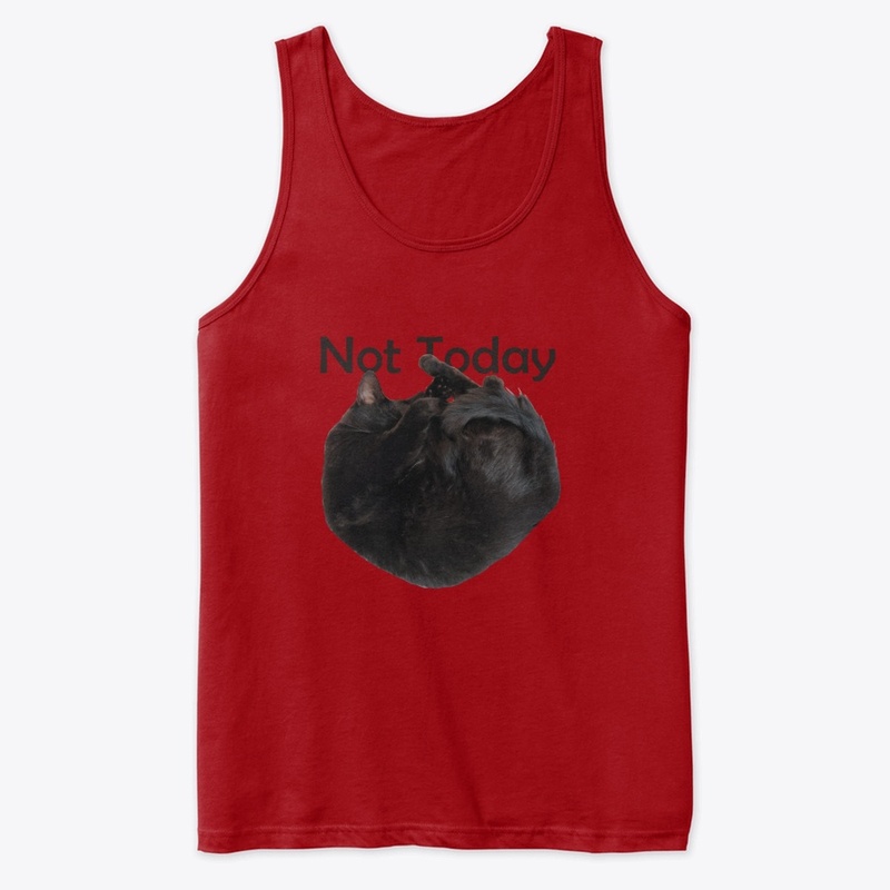 Not Today Sleepy Kitty