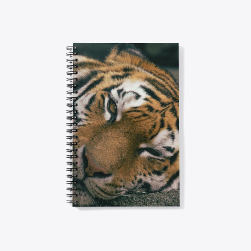 Big Cats 2