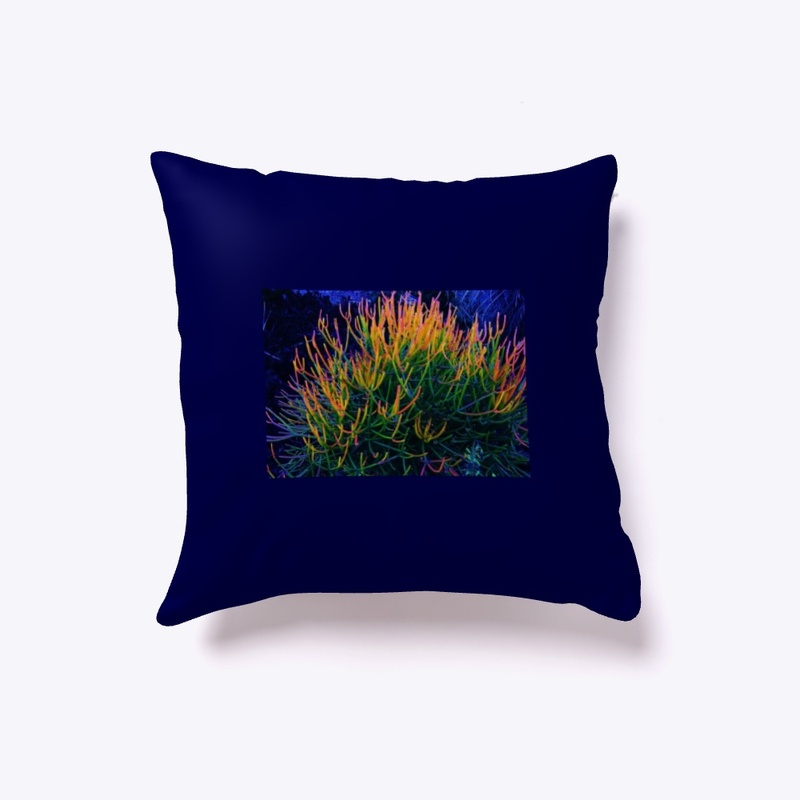 Rainbow Succulent 