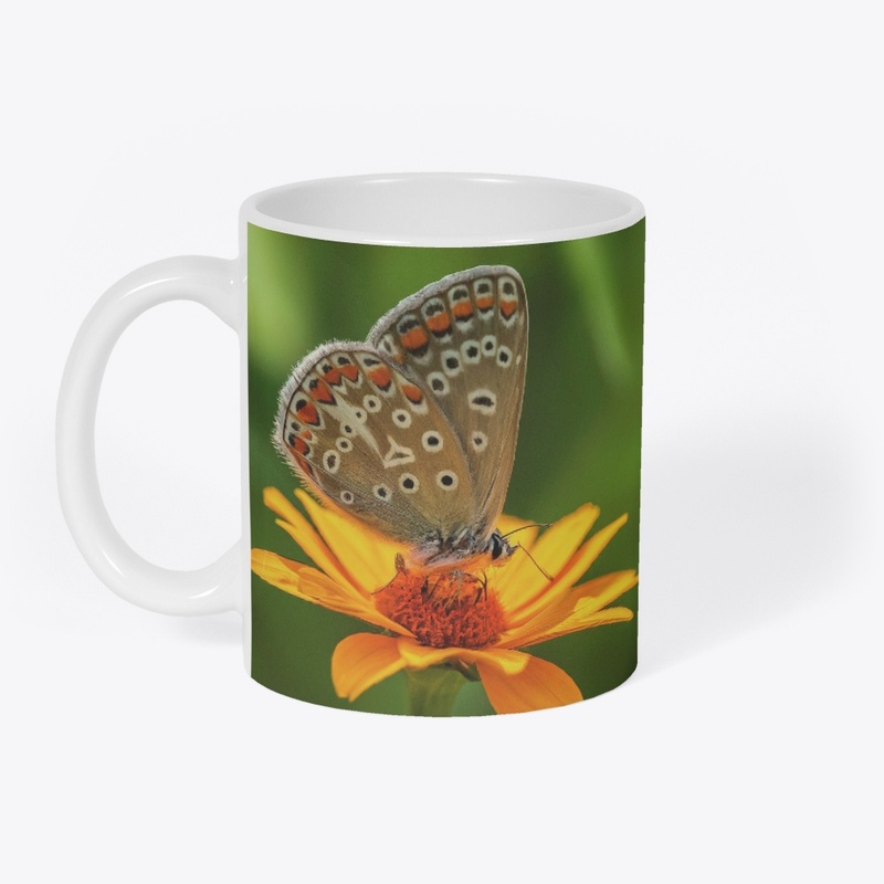 butterfly mug