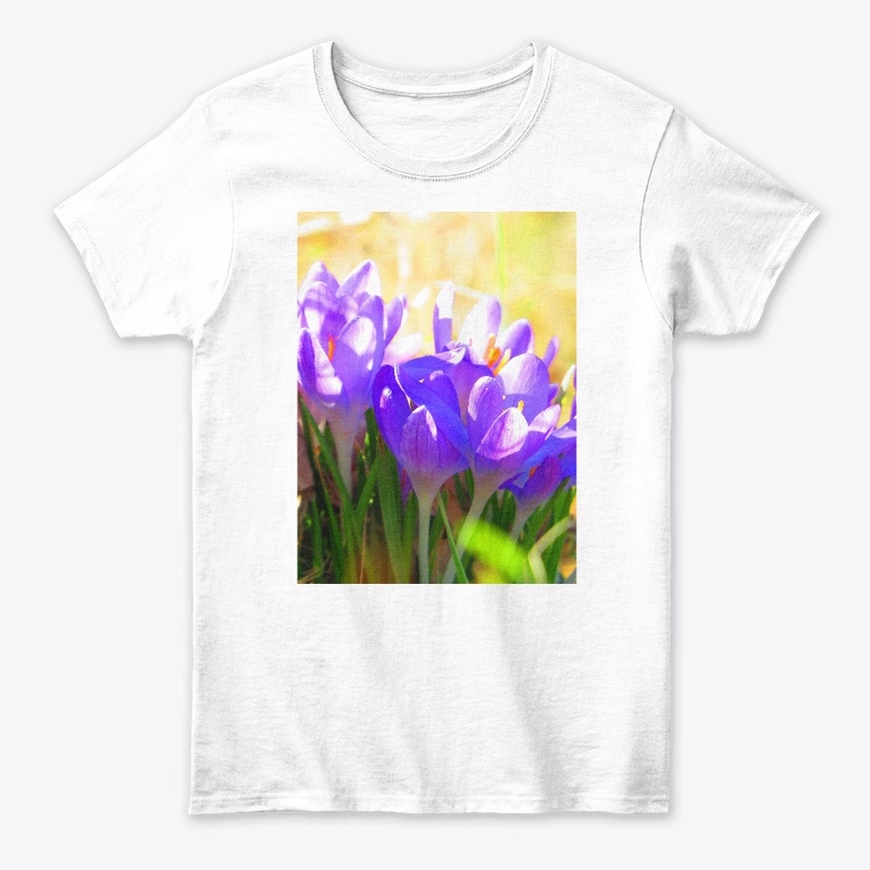 Crocuses