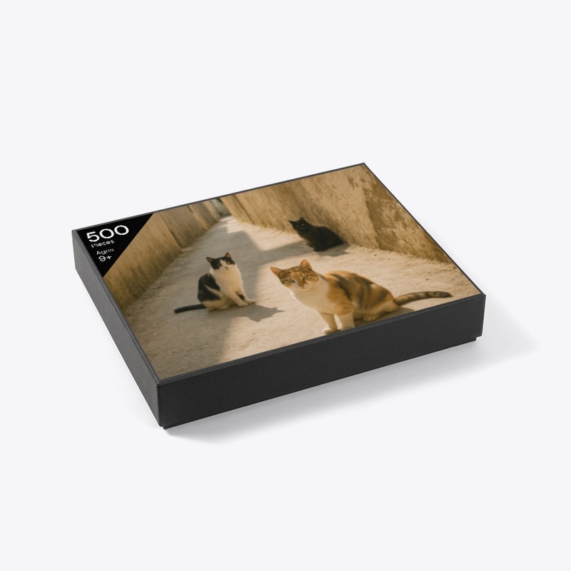 Cats