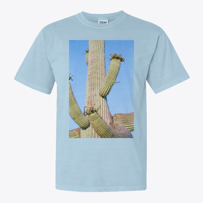 Big Cactus