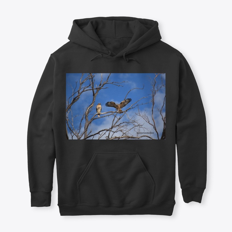 Hawk in tree