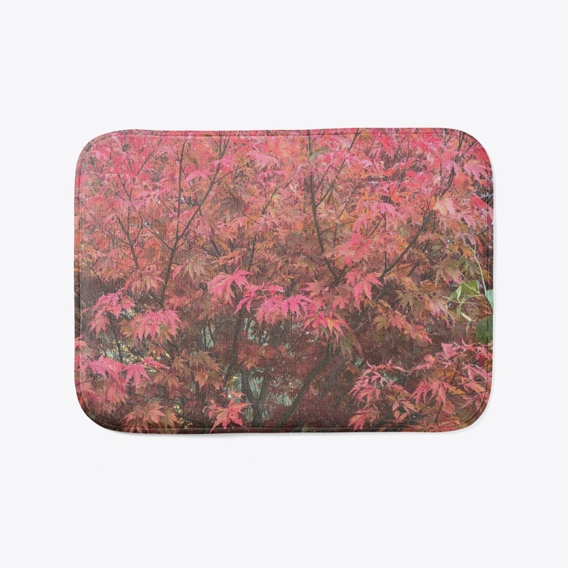 Japanese Red Maple