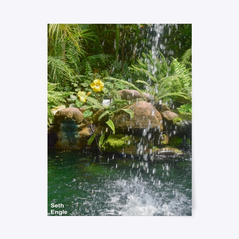 Summer Sanctuary 