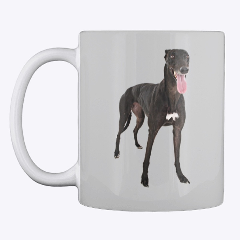 black greyhound dog