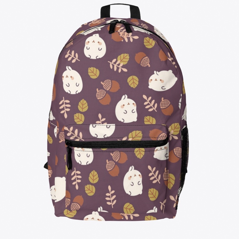 Backpack/travel/school Bag 