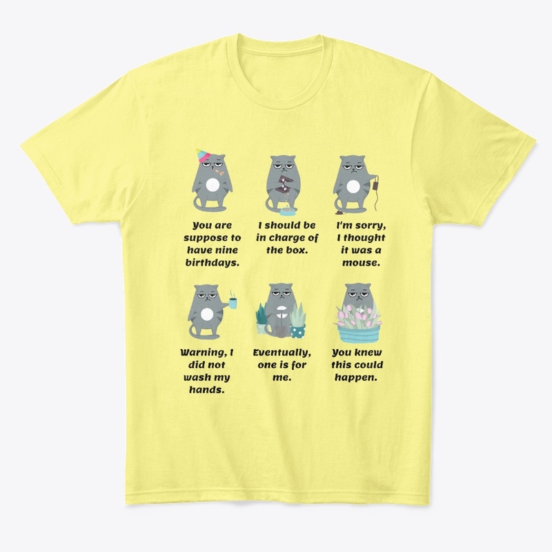 Grumpy Cat Scenarios Design