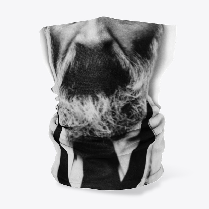 Brancusi Collection