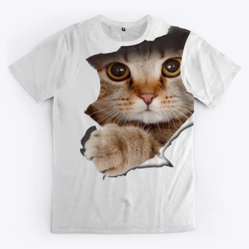 CAT IS COMING OUT