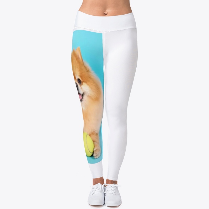 cute dog