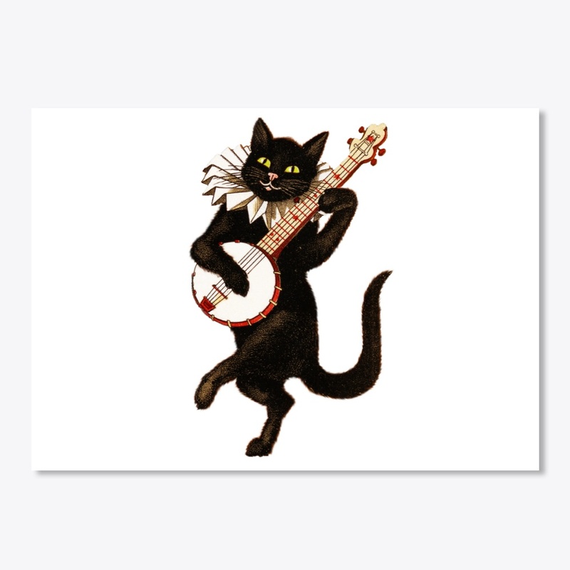 The Wonder Cat