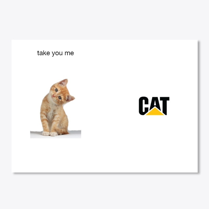 funny cat